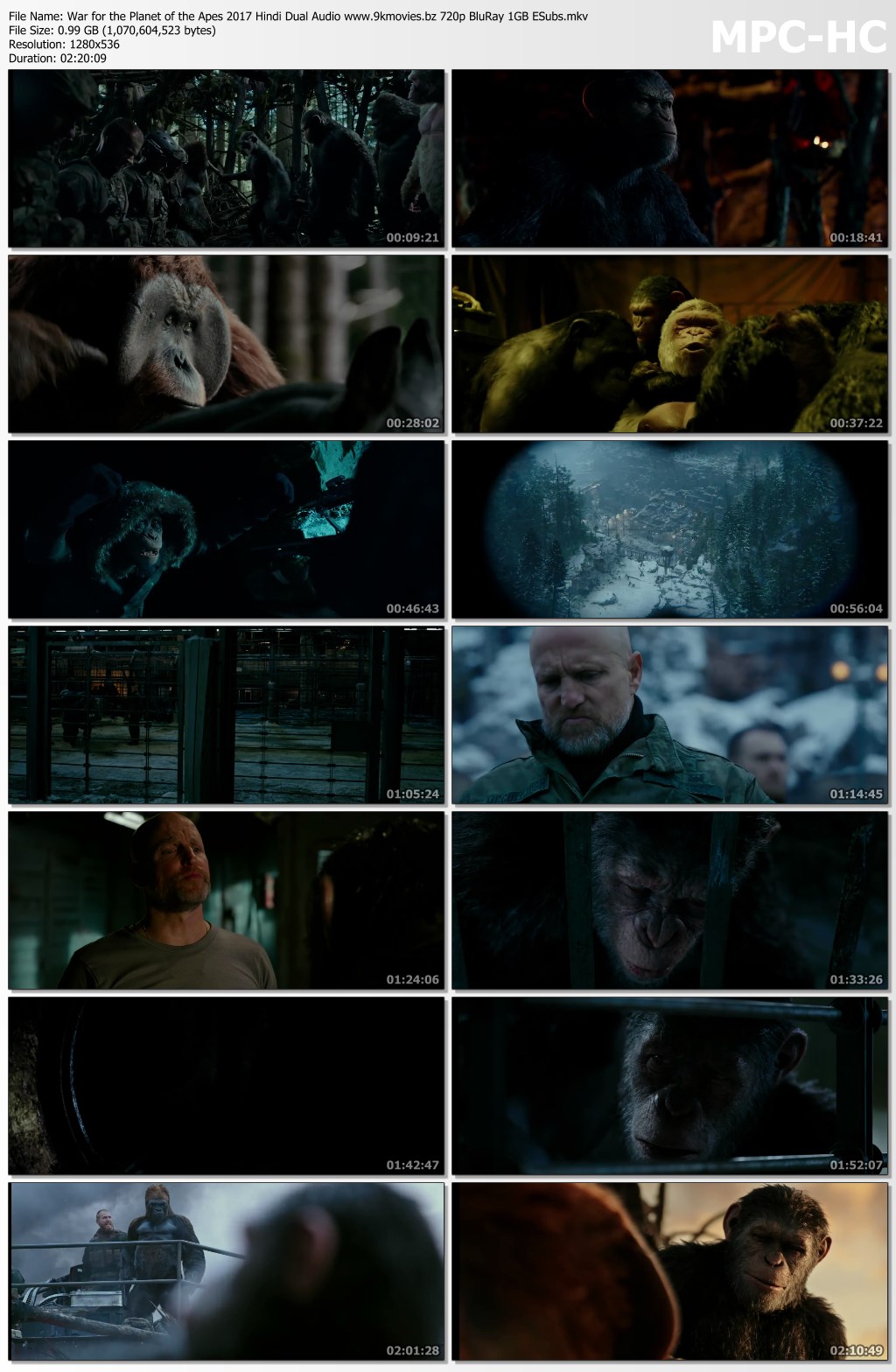 dawn of the planet of the apes 2017 dual audio 720p
